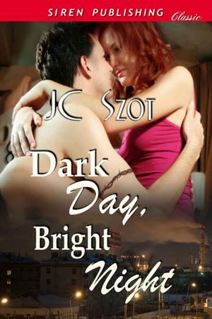 Cover of the book Dark Day, Bright Night by Heather Rainier