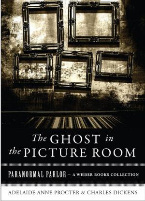 Book cover of The Ghost in the Picture Room