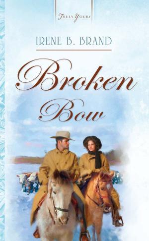 Cover of the book Broken Bow by Peggy Darty