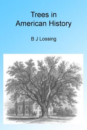 Cover of the book Trees in American History by Theodore Child