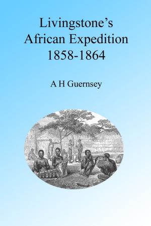 bigCover of the book Livingstone's African Expedition of 1858-1864, Illustrated by 