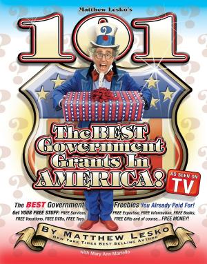 Cover of the book 101 Of The Best Government Grants In America by John West