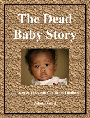 Book cover of The Dead Baby Story