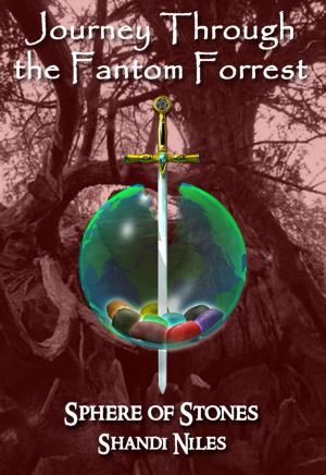 Cover of Sphere of Stones Series by Shandi Niles, BookBaby