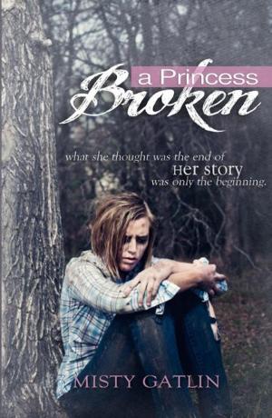 Cover of the book A Princess Broken by J.B. Vample