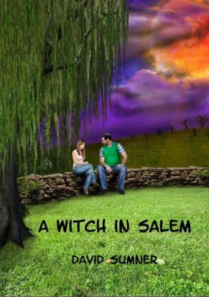 Cover of the book A Witch in Salem by Roxanne St. Claire