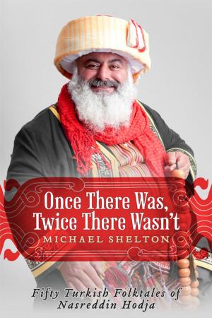 Cover of the book Once There Was, Twice There Wasn't by Sagan Morrow