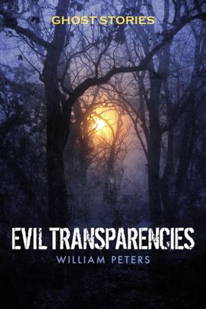 Cover of the book Ghost Stories: Evil Transparencies by Sava Buncic