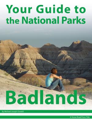Book cover of Your Guide to Badlands National Park