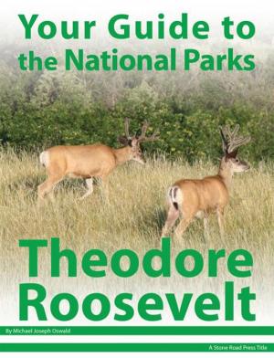 Book cover of Your Guide to Theodore Roosevelt National Park