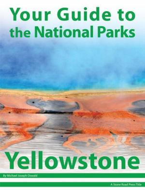 Book cover of Your Guide to Yellowstone National Park