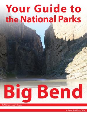 Book cover of Your Guide to Big Bend National Park