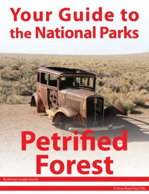 Book cover of Your Guide to Petrified Forest National Park