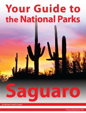 Book cover of Your Guide to Saguaro National Park