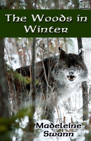 Cover of the book The Woods in Winter by Mina Kelly