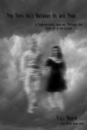 Book cover of The torn veil between us and them: A personal supernatural journey through the eyes of a Christian
