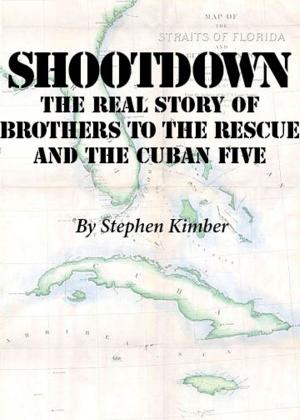 Cover of the book Shootdown by Doug Peters