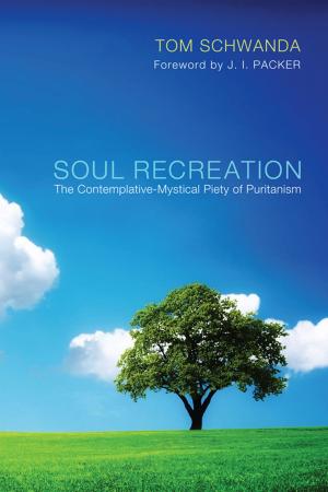 Cover of the book Soul Recreation by Wesley J. Wildman