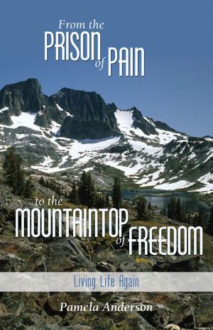 Cover of the book From the Prison of Pain to the Mountain Top of Freedom by P.C. Magnussen