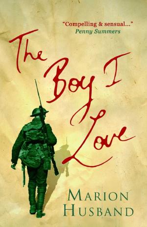 Cover of the book The Boy I Love by Jodi Taylor