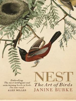 Cover of the book Nest by Leigh Redhead