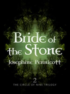 Cover of the book Bride of the Stone: Circle of Nine Trilogy 2 by Shane Bryant
