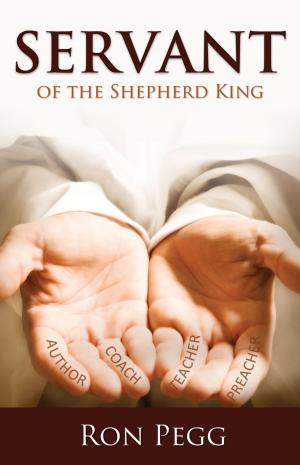 Cover of the book Servant of the Shepherd King by Michelle Ritchot
