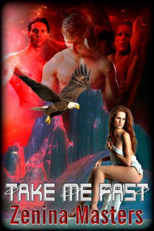 Cover of the book Take Me Fast by Meraki P. Lyhne