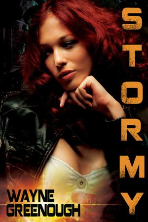 Cover of the book Stormy by Amelia Keldan