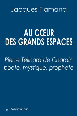 Cover of the book Au cœur des grands espaces by Mary-Christine Thouin