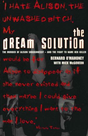 Cover of the book The Dream Solution by Billy Kay