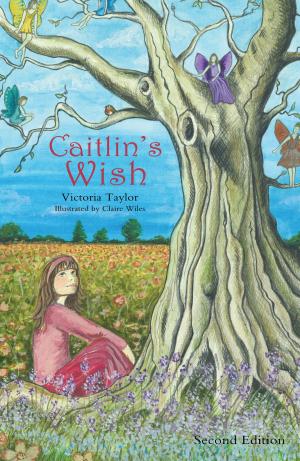 bigCover of the book Caitlin's Wish by 