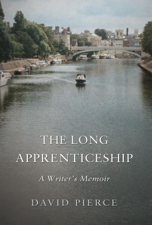 Book cover of The Long Apprenticeship