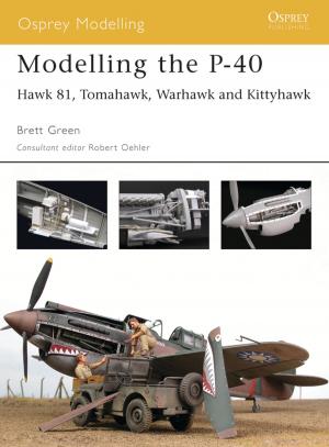 Cover of the book Modelling the P-40 by Stephen Jones