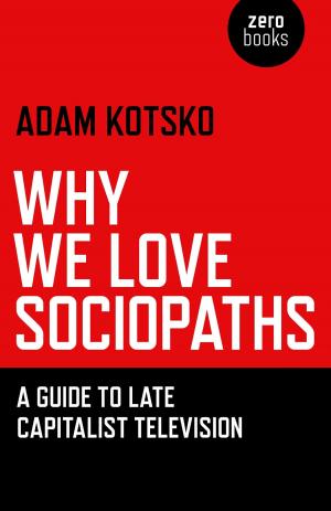 Cover of the book Why We Love Sociopaths by Morgan Daimler