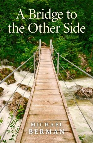 Cover of the book A Bridge to the Other Side by Julian Feeld
