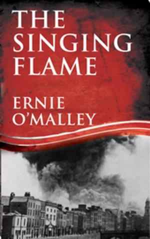 Cover of the book The Singing Flame: Ernie O'Malley's Irish Civil War by Paul Callaghan