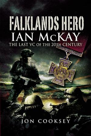 Cover of the book Falklands Hero by Tony  Davies