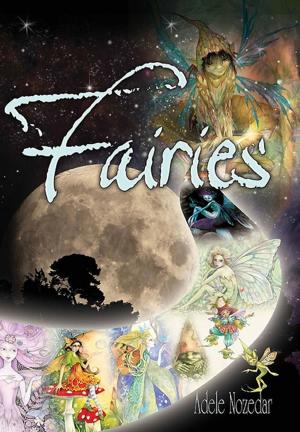 Cover of the book Fairies by Andy Hughes