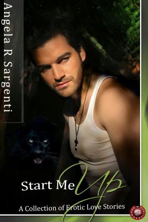 Cover of the book Start Me Up: A Collection of Erotic Love Stories by Harry Blue
