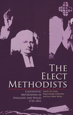 Cover of the book The Elect Methodists by M. Wynn Thomas
