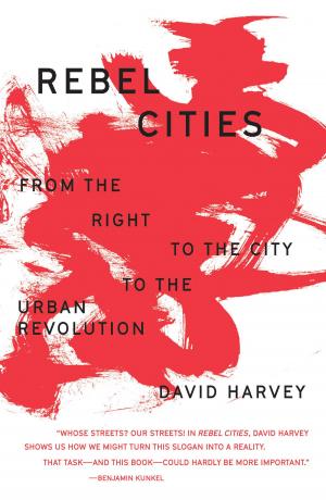 Book cover of Rebel Cities