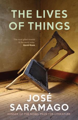 bigCover of the book The Lives of Things by 