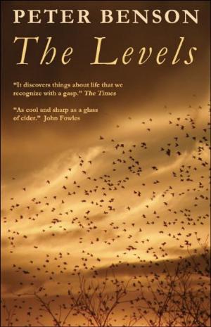 Book cover of The Levels
