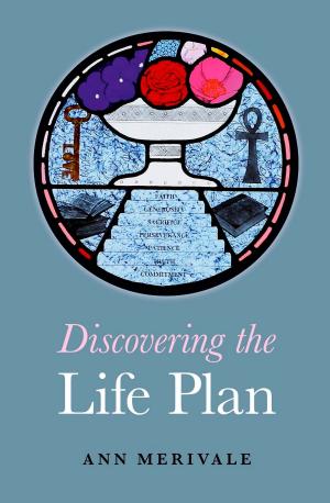 Book cover of Discovering the Life Plan