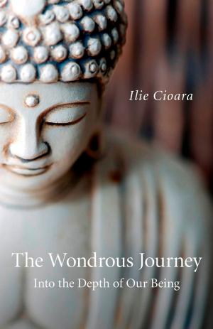 Cover of the book The Wondrous Journey by Harmonia Saille, Kimi Ravensky
