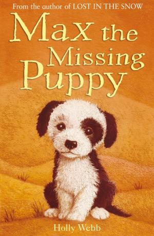 Book cover of Max the Missing Puppy