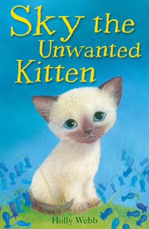 Cover of the book Sky the Unwanted Kitten by Lucy Courtenay