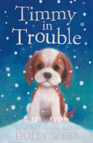 Cover of the book Timmy in Trouble by Alan MacDonald