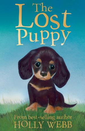 Book cover of The Lost Puppy
